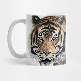 Tiger Drawing Mug